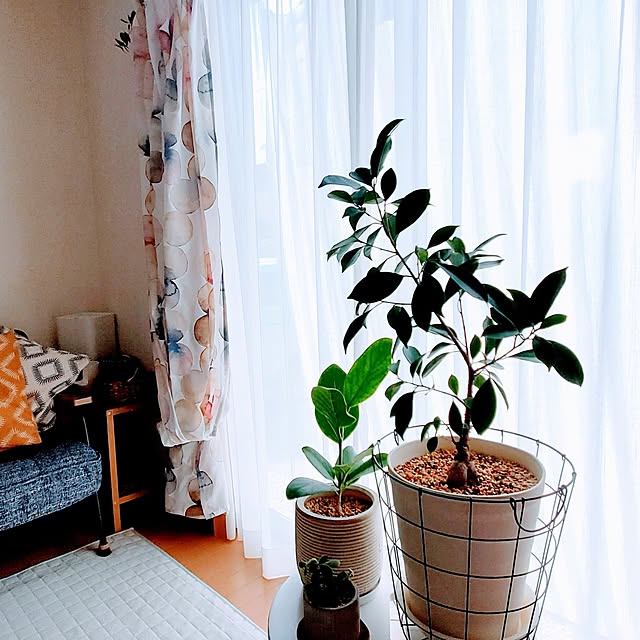pomさんの部屋