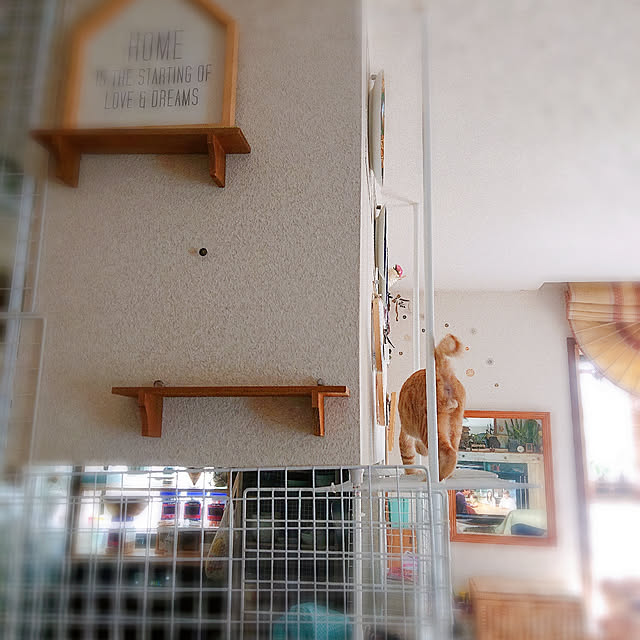 kikiさんの実例写真