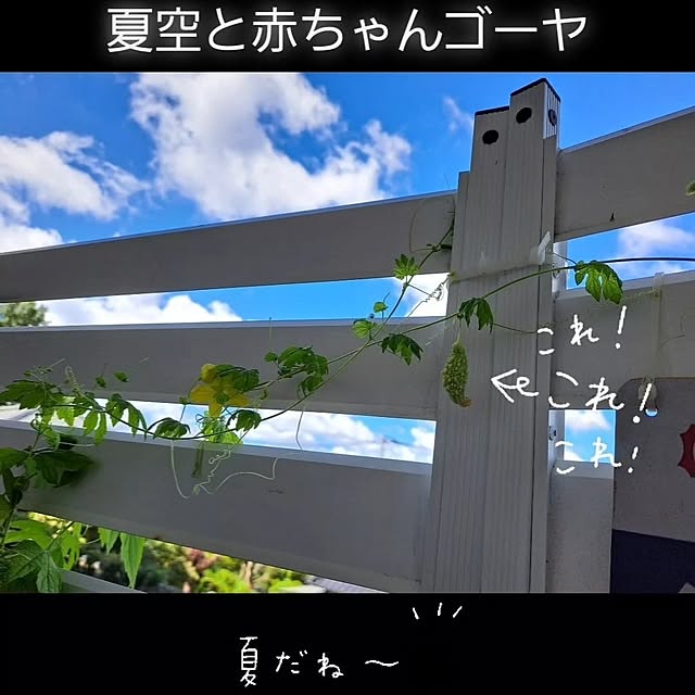 kankanmom_horn_5catsさんの実例写真