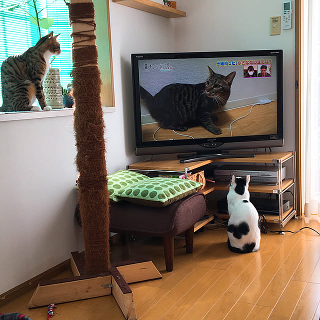 nobikoさんの実例写真