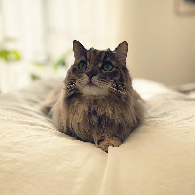 justyさんの部屋