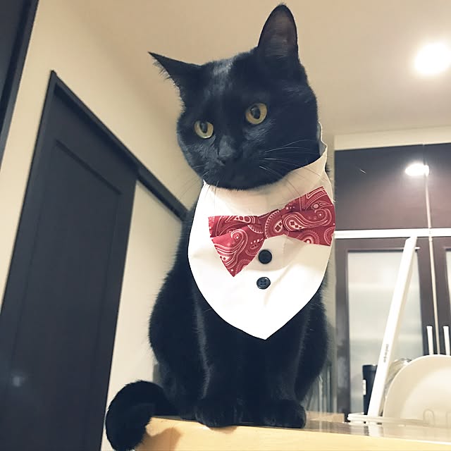 yuki0511さんの実例写真