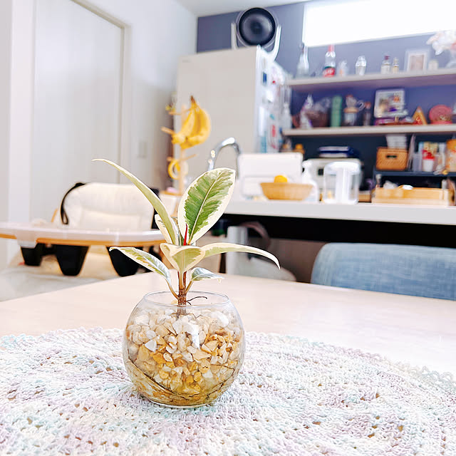 chanduさんの実例写真