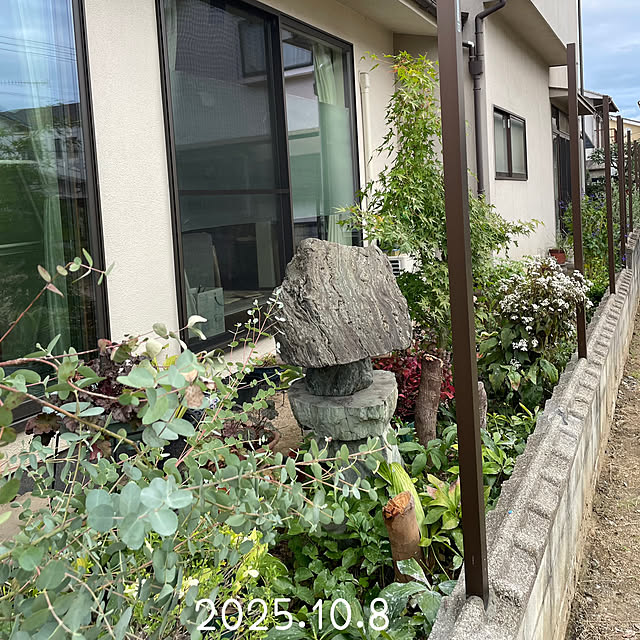 buchiさんの実例写真