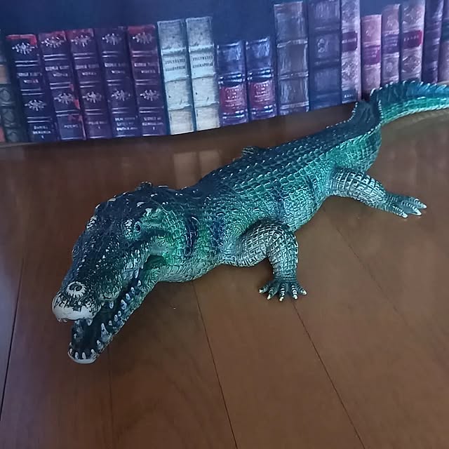waniwaniさんの実例写真