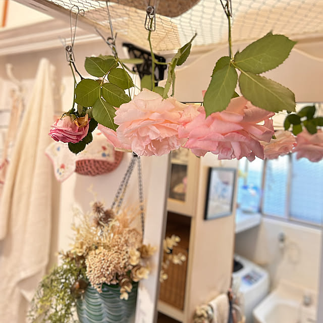 akaidarumaさんの実例写真