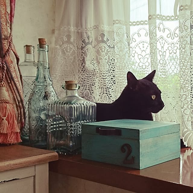 genさんの実例写真