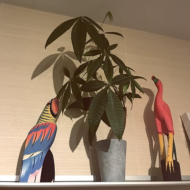 棚/癒しの空間。一人暮らしの醍醐味/一人暮らし/観葉植物/ナチュラル...などのインテリア実例 - 2017-05-31 22:42:36