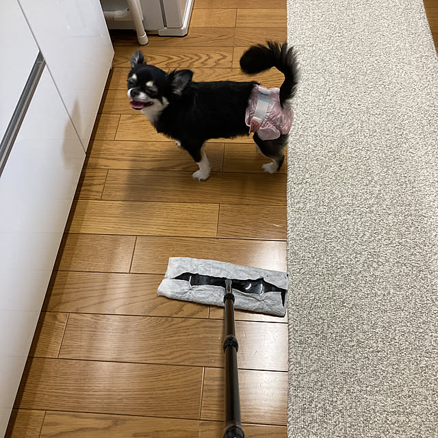 koroさんの実例写真