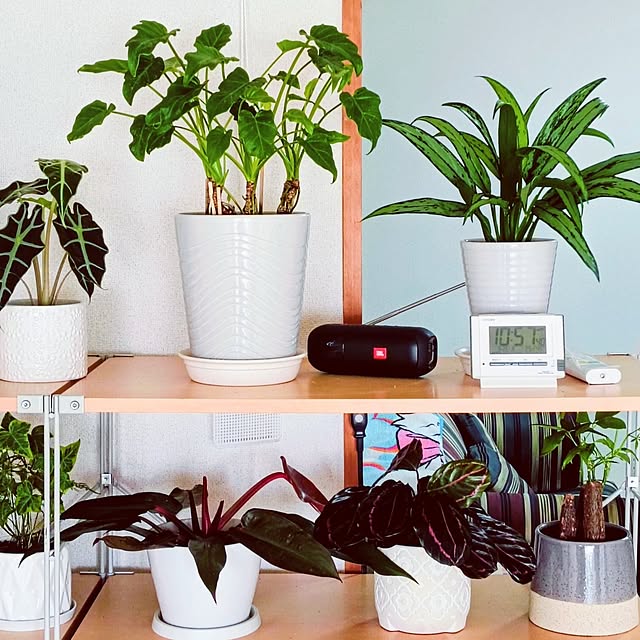 hanachanさんの部屋