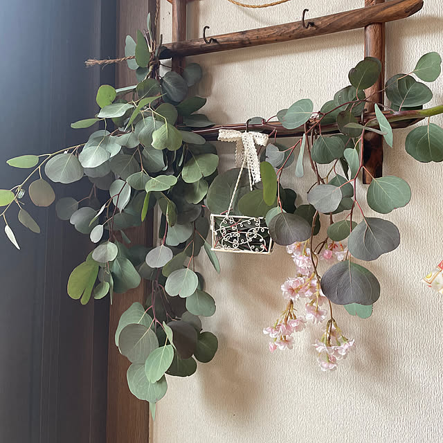 ronronさんの部屋