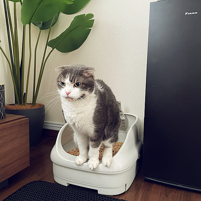 tansukeさんの実例写真