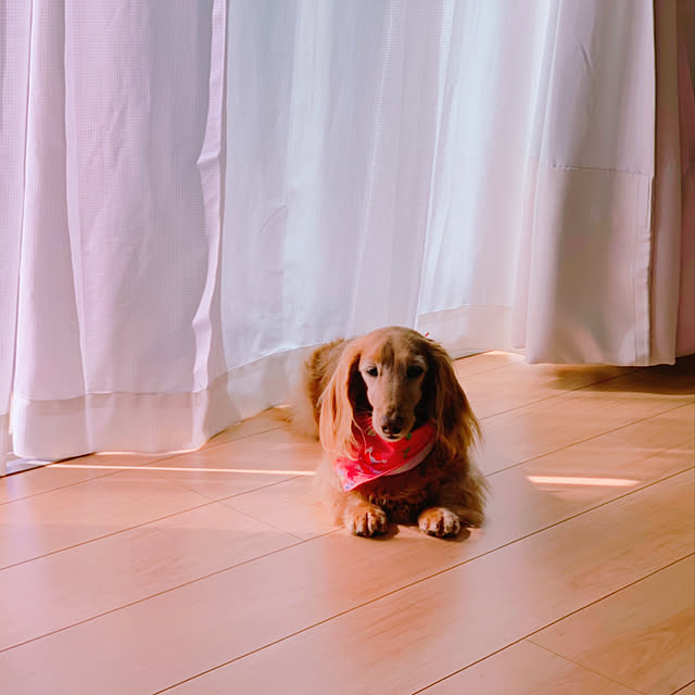 Chimoko0307さんの実例写真