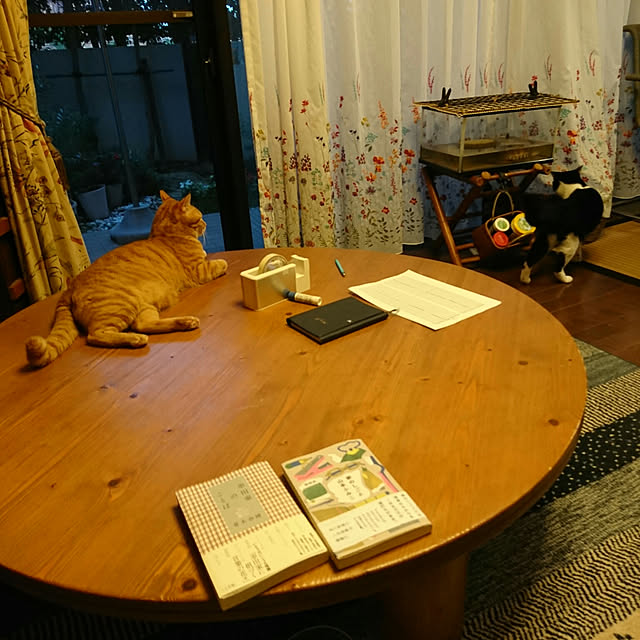 okyosan101さんの実例写真