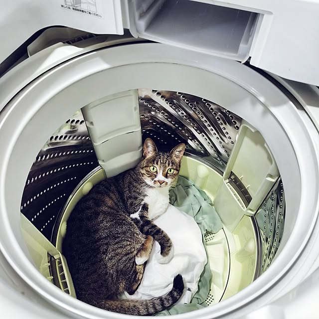 nachiさんの実例写真