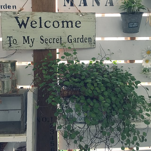 kitiさんの実例写真