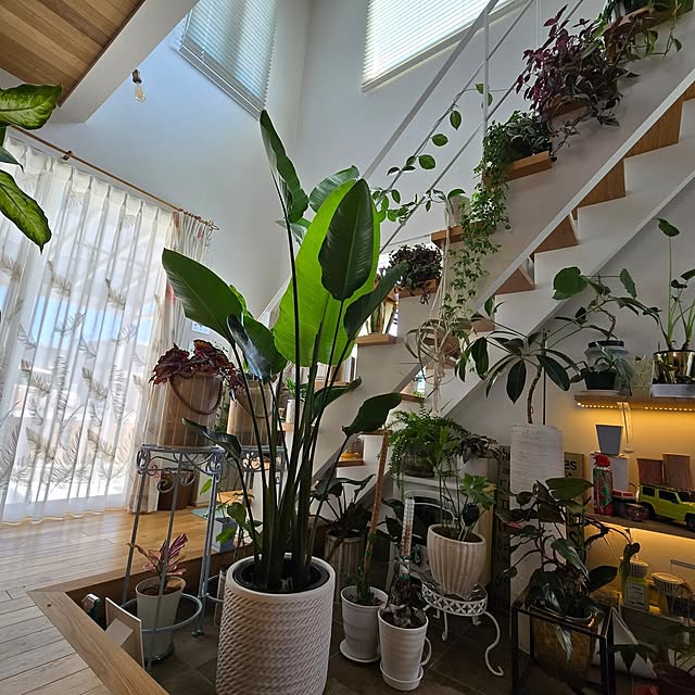nonbiri_house_さんの実例写真