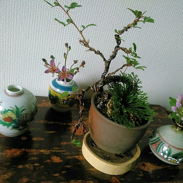 shoko0420さんの実例写真