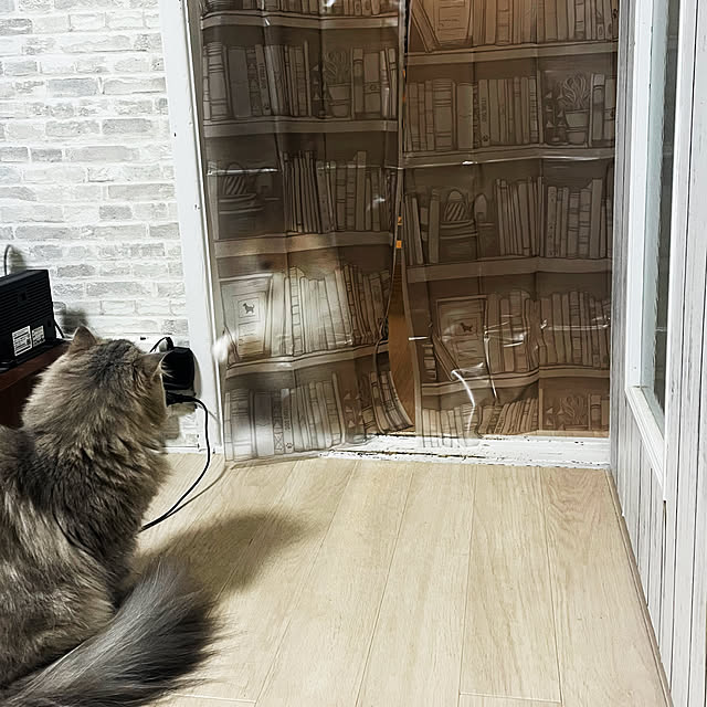 yuuchoさんの部屋