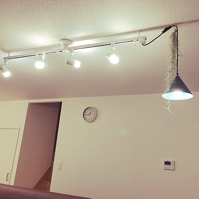 ウスネオイデスは本物/ダクトレール+スポットライト/照明/建売り一戸建て/ホワイト×グレー...などのインテリア実例 - 2021-01-28 08:57:17