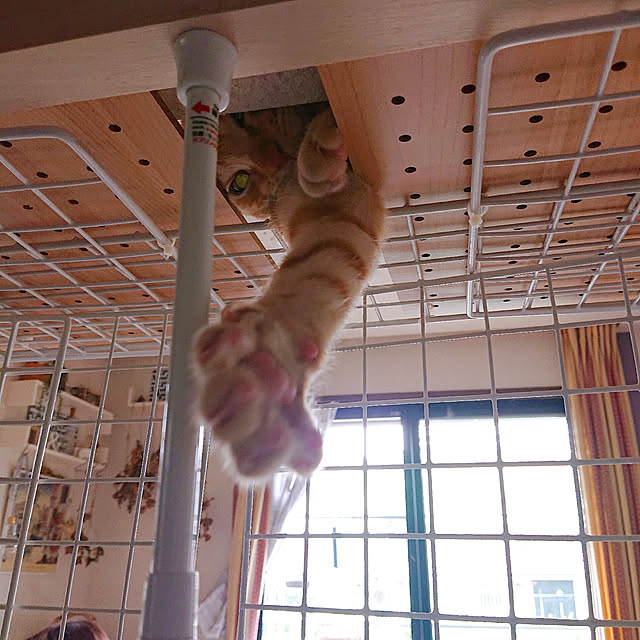 kikiさんの実例写真