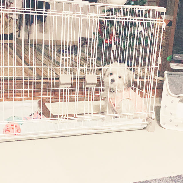 tanyuumoさんの実例写真