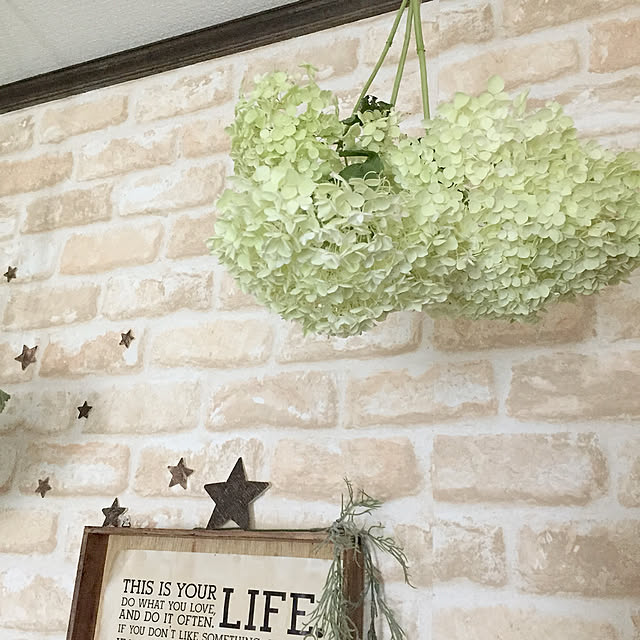 kotoriさんの実例写真