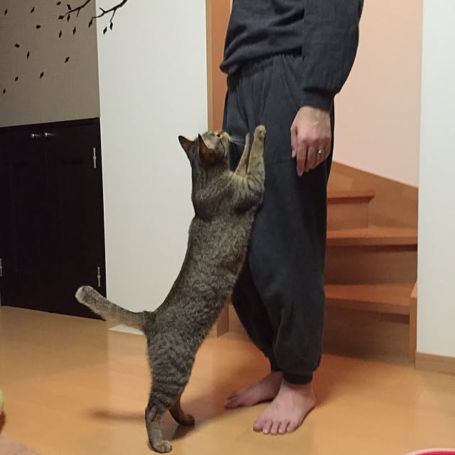 yuki0511さんの実例写真