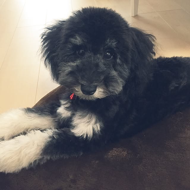 flowerさんの実例写真