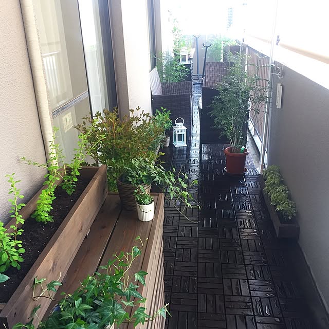 実例写真