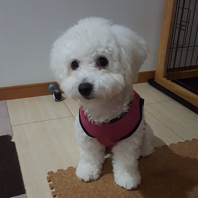 takoさんの実例写真