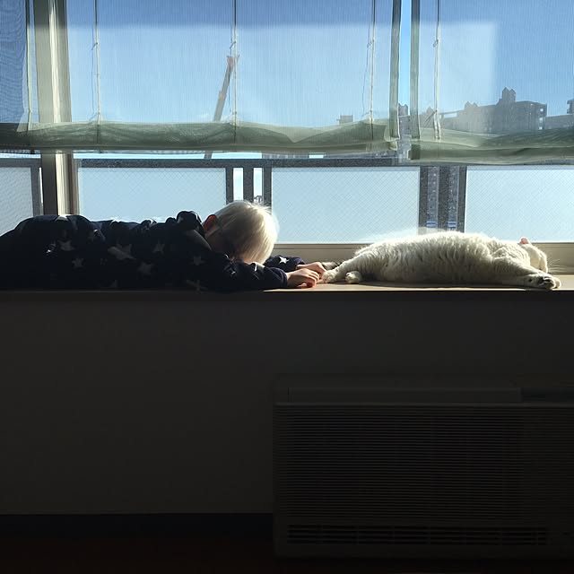 noaさんの実例写真