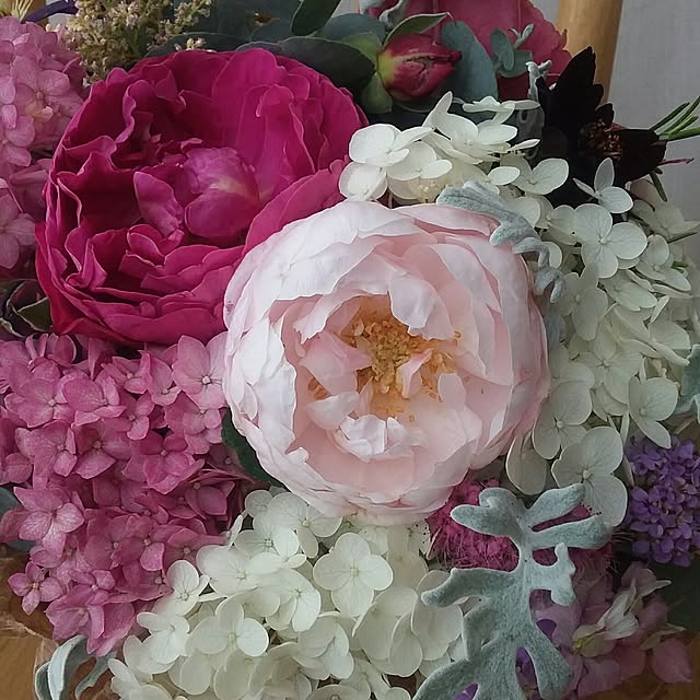 yukkoさんの実例写真