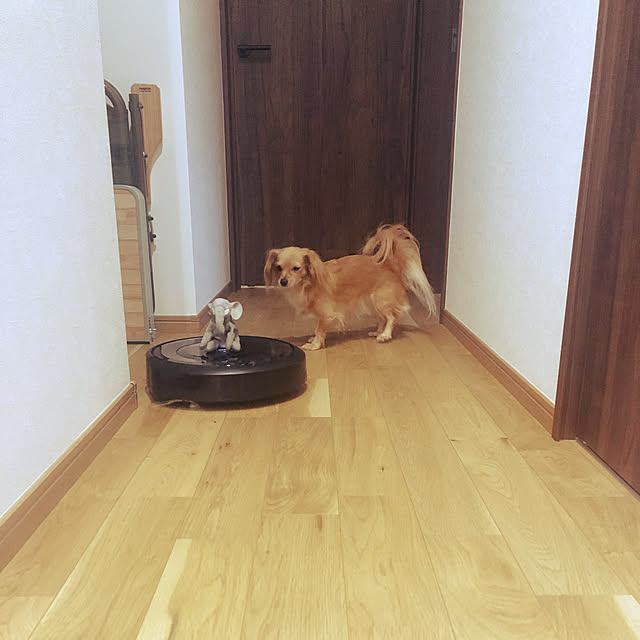 ROBIBHさんの実例写真