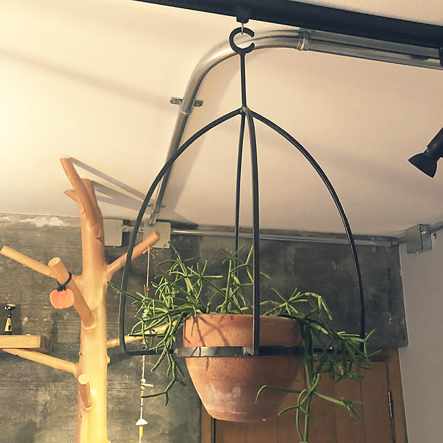fgtomatoes0560さんの実例写真