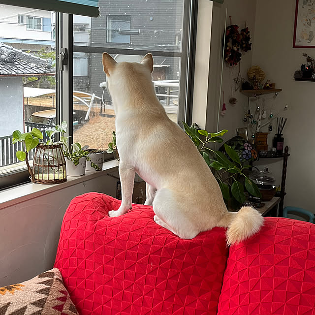 Toyomiさんの部屋