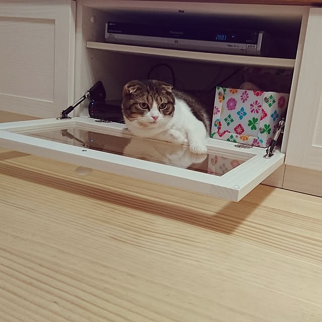 Akariさんの実例写真
