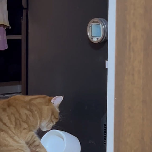 nekoさんの実例写真