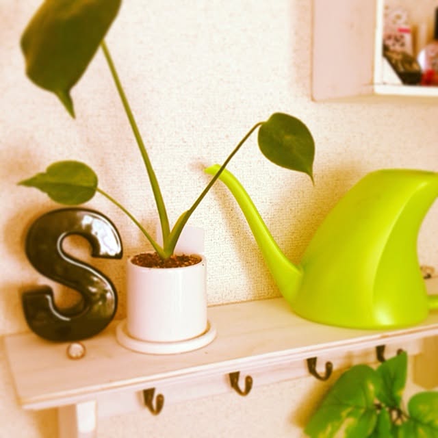 ci.cacoさんの実例写真