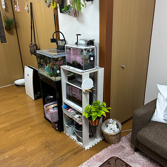 Saoriさんの部屋