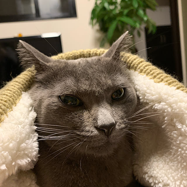 73さんの実例写真