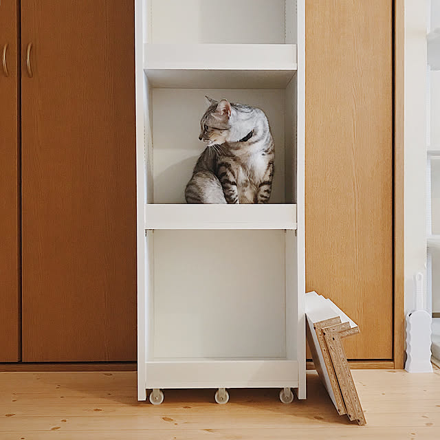 ineko_kさんの実例写真