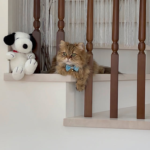 miyu39さんの部屋