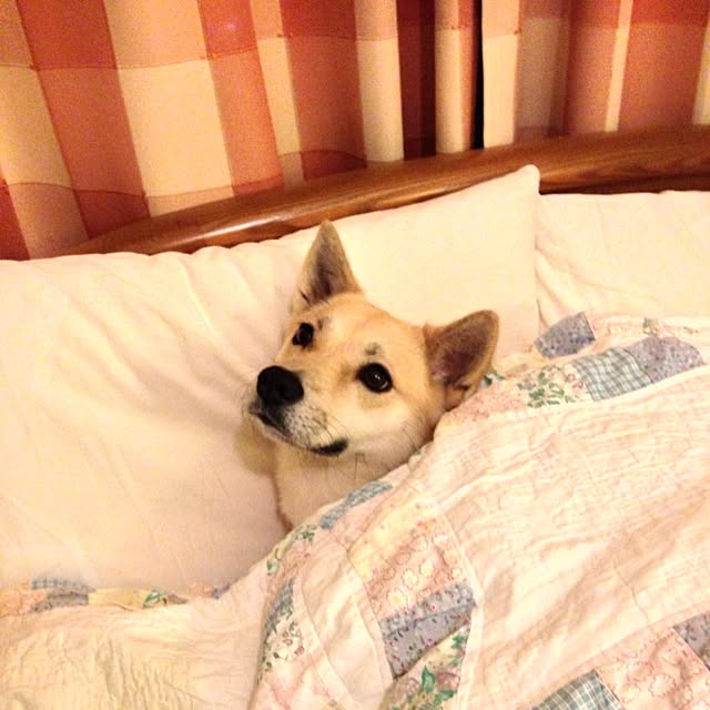 leonaさんの実例写真