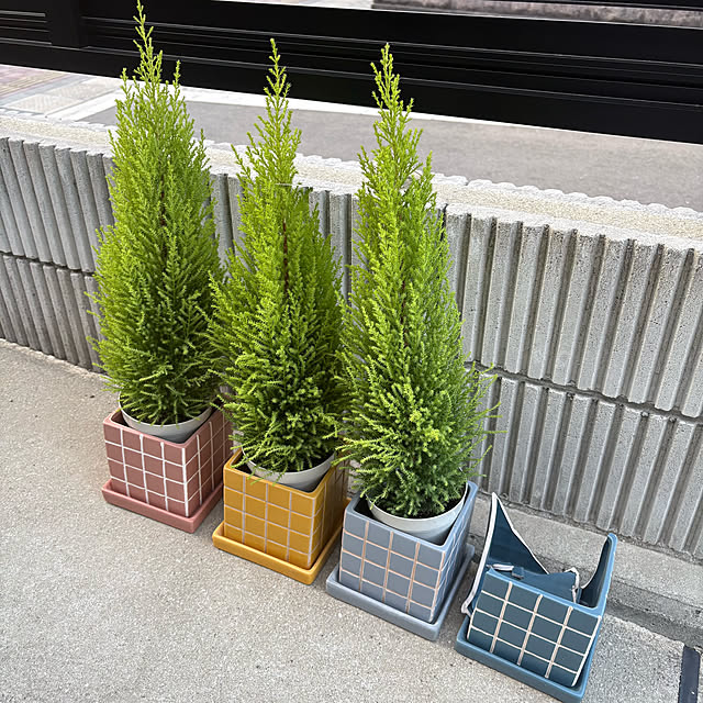 miffy.0044さんの実例写真