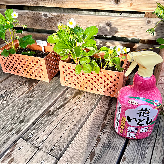 Saiiiさんの実例写真
