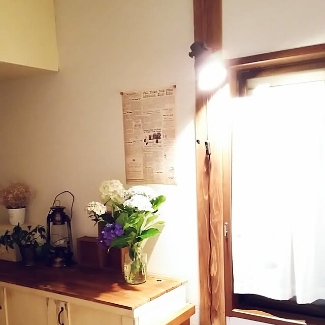 arioさんの実例写真
