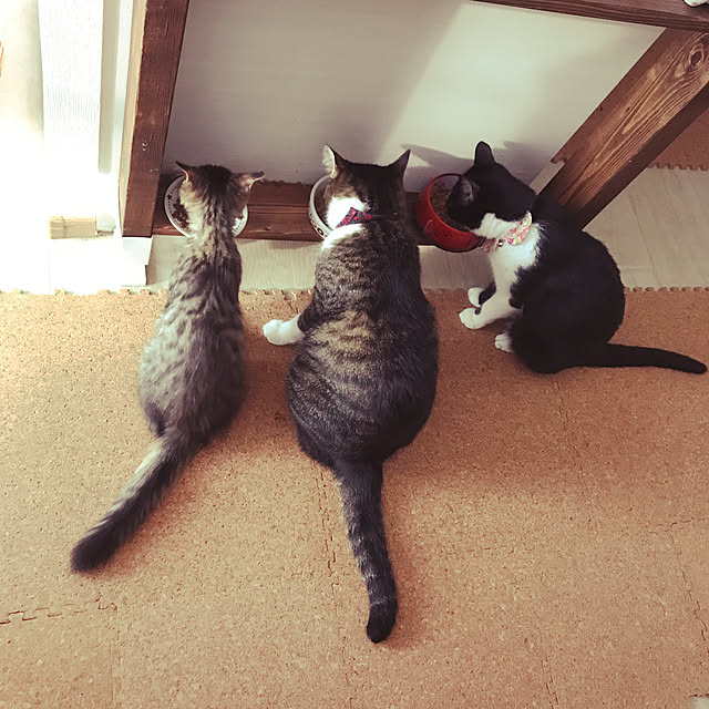 miruさんの実例写真