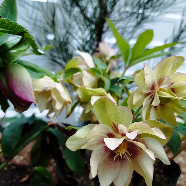 chizutaroさんの部屋