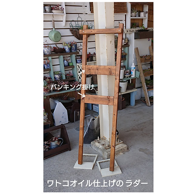 Toraziさんの実例写真